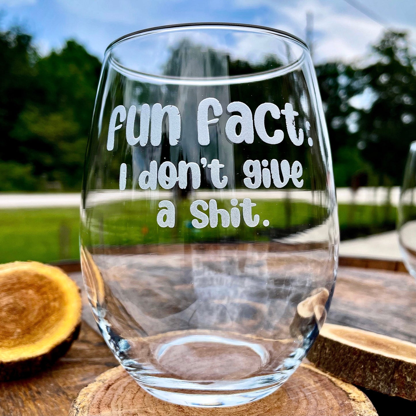 Fun Fact: I Don’t Give A Sh*t Stemless Wine Glass / Father's Day Gift / Valentine's Day Gift