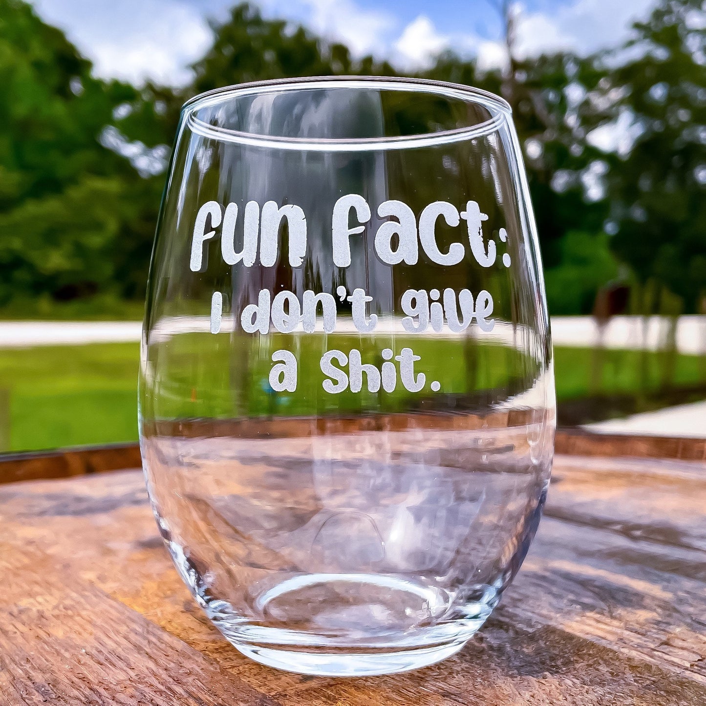 Fun Fact: I Don’t Give A Sh*t Stemless Wine Glass / Father's Day Gift / Valentine's Day Gift