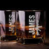 AR-15 with Name Whiskey Glass Set    / Father's Day Gift